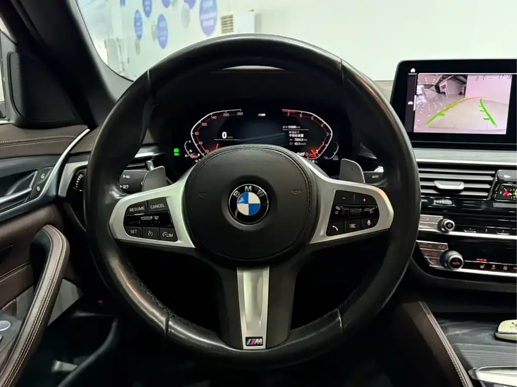 BMW 5 Series 2023 из CN, фото 4