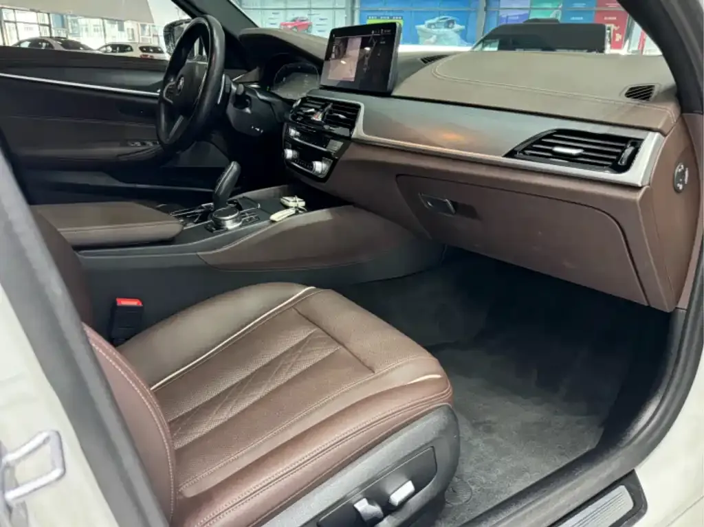 BMW 5 Series 2023 из CN, фото 7