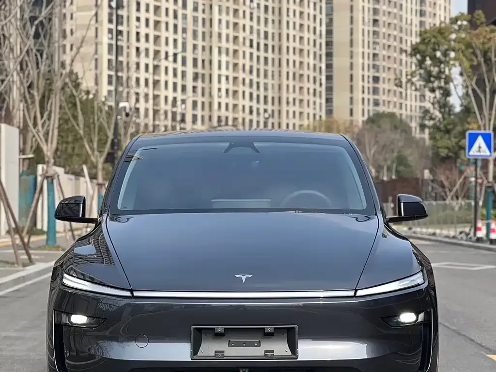 Tesla Model Y — фото 8