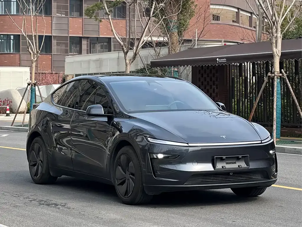 Tesla Model Y — фото 10
