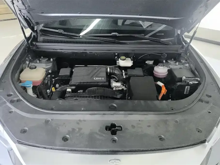 BYD Pro New Energy 2023 из CN, фото 4
