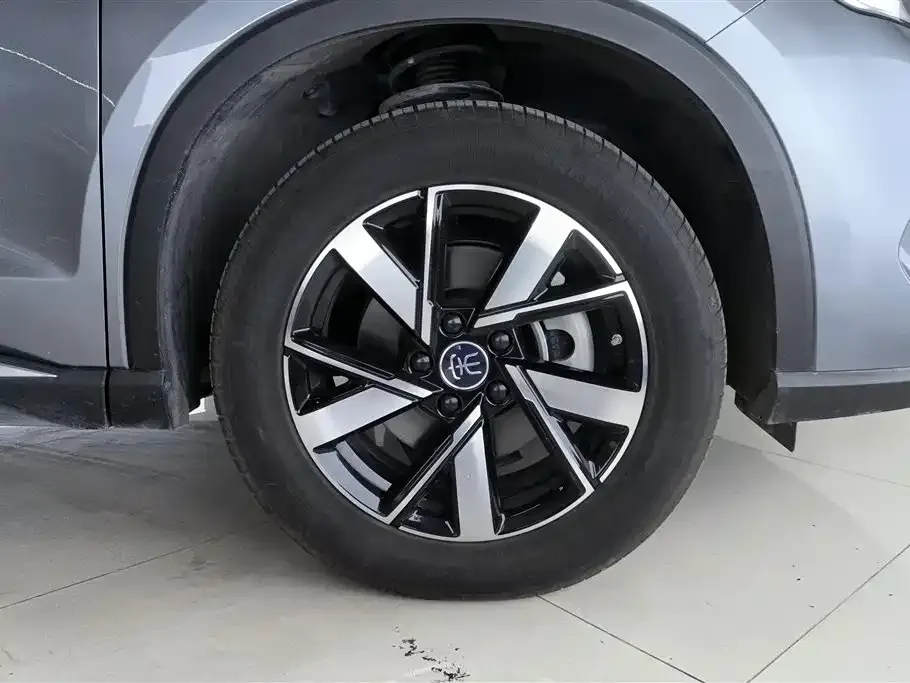 BYD Pro New Energy 2023 из CN, фото 8