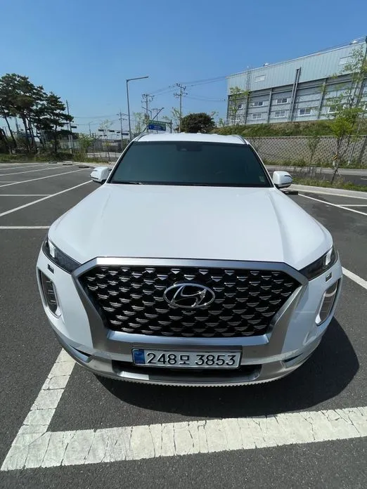 Hyundai Palisade — фото 1