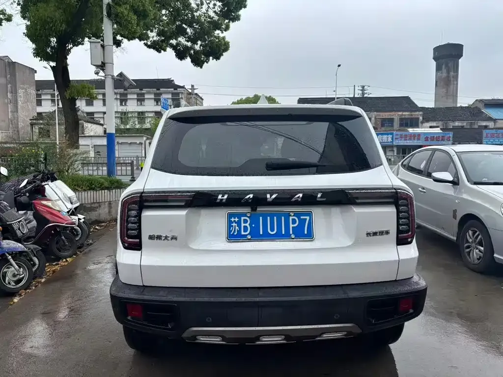 Haval Big Dog 2021 из CN, фото 3