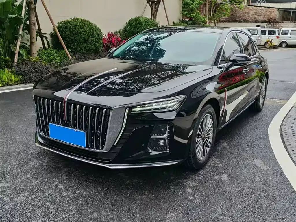 Hongqi H5 2024 из CN, фото 6
