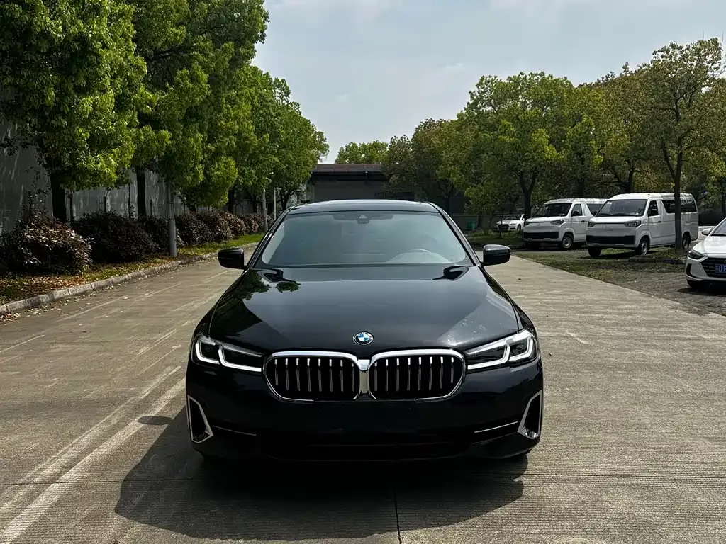 BMW 5 Series 2023 из CN, фото 1