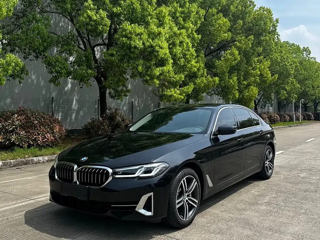 BMW 5 Series 2023 из CN, фото 10