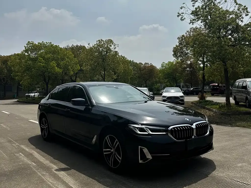 BMW 5 Series 2023 из CN, фото 7
