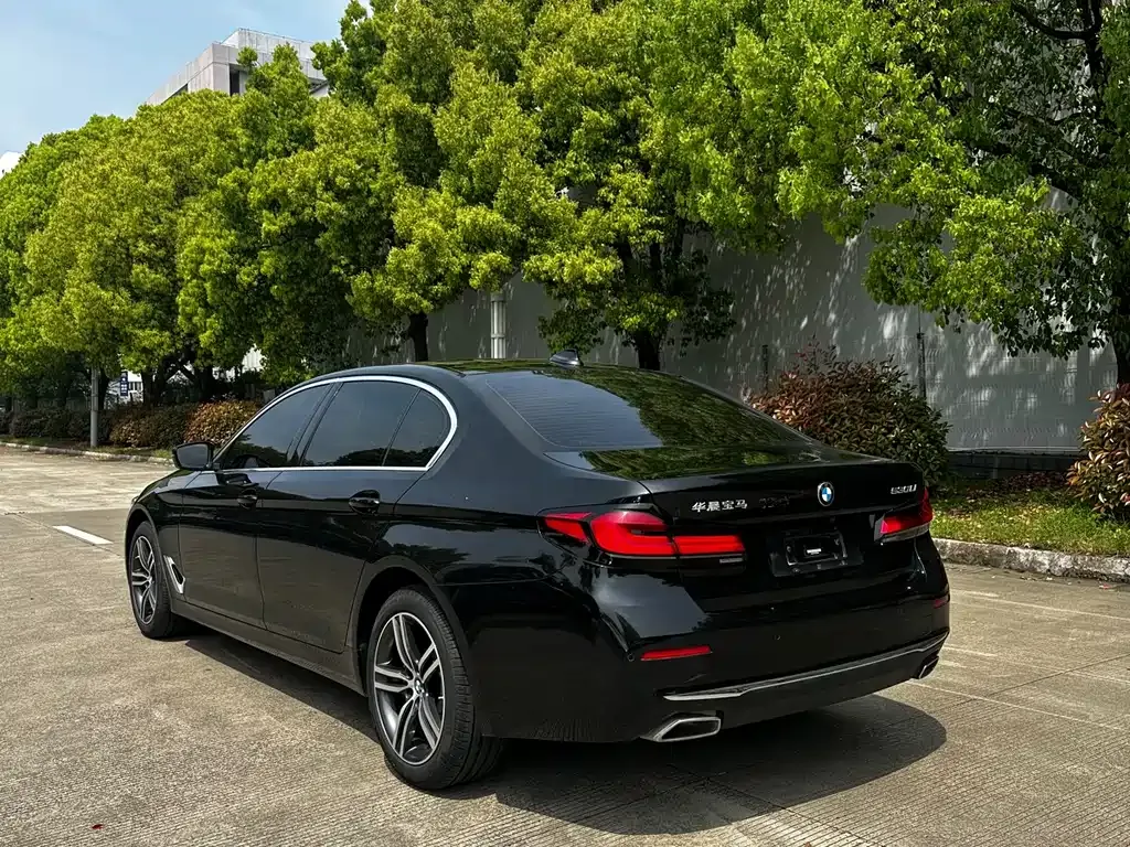 BMW 5 Series 2023 из CN, фото 3