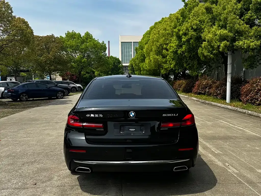 BMW 5 Series 2023 из CN, фото 2