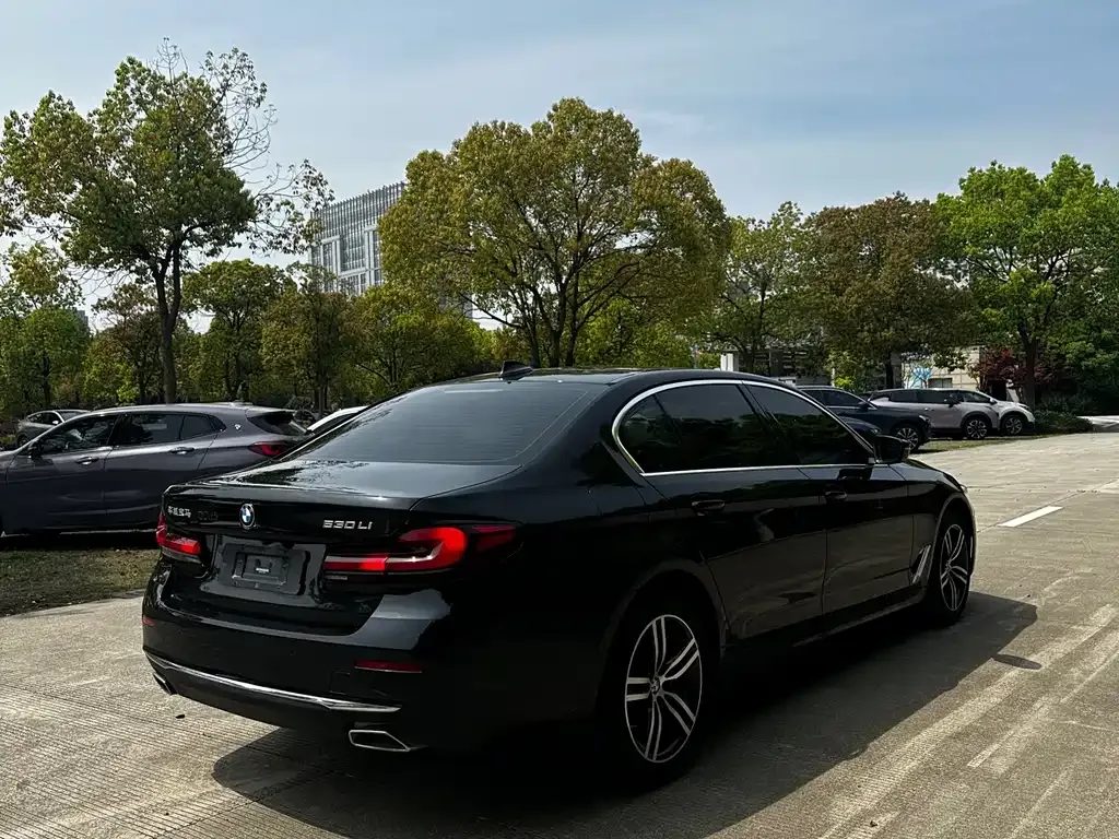 BMW 5 Series 2023 из CN, фото 6