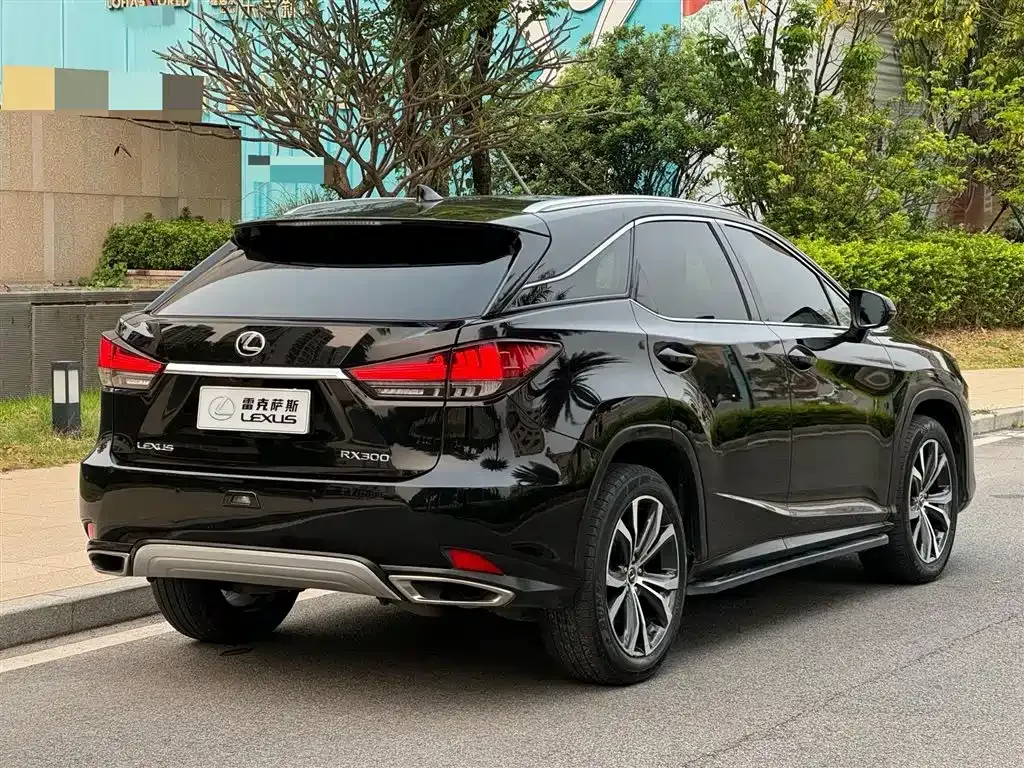 Lexus RX 2021 из CN, фото 4