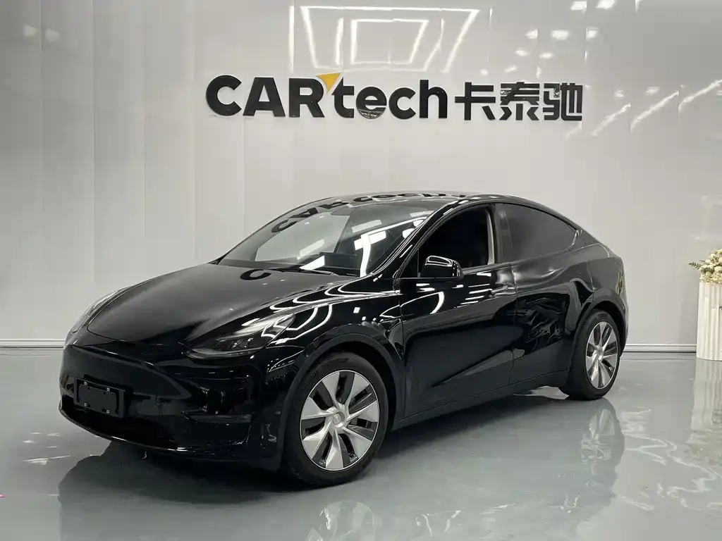 Tesla Model Y 2021 из CN, фото 1