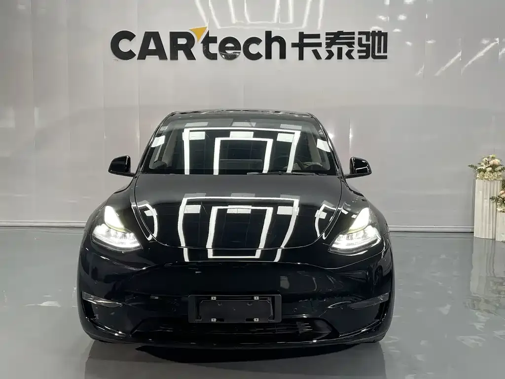 Tesla Model Y 2021 из CN, фото 9