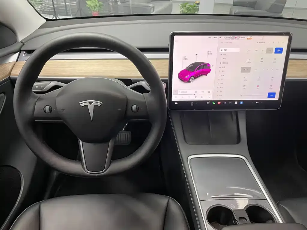 Tesla Model Y 2021 из CN, фото 8