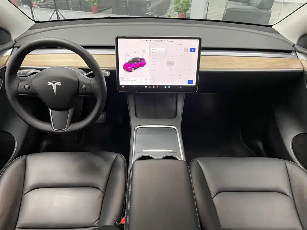 Tesla Model Y 2021 из CN, фото 3