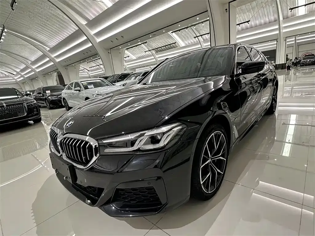 BMW 5 Series 2021 из CN, фото 1