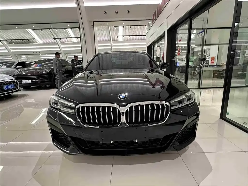 BMW 5 Series 2021 из CN, фото 6