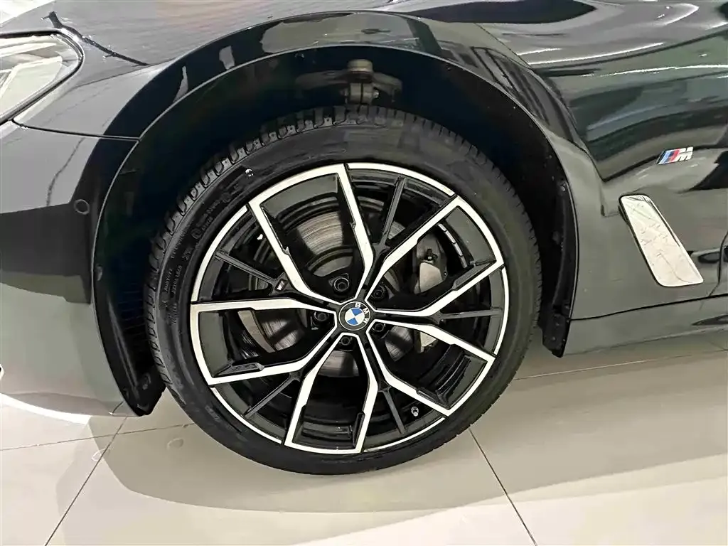 BMW 5 Series 2021 из CN, фото 10