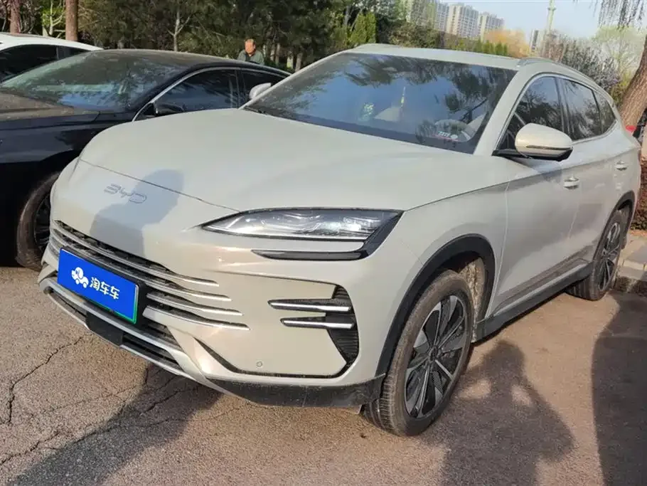 BYD PLUS New Energy 2024 из CN, фото 1