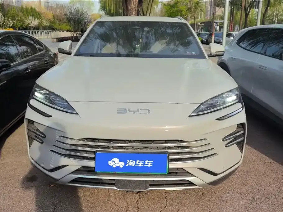 BYD PLUS New Energy 2024 из CN, фото 10