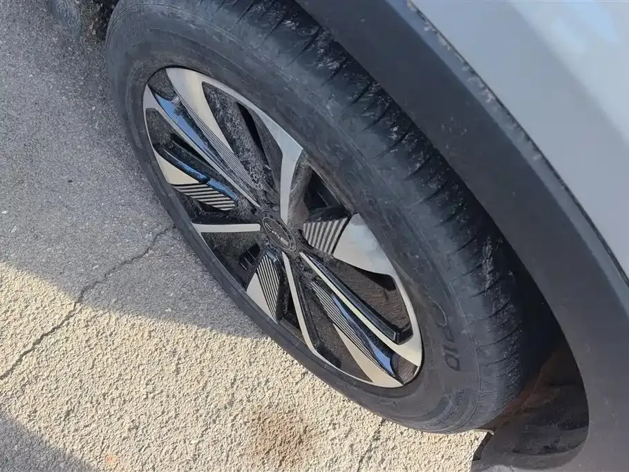 BYD PLUS New Energy 2024 из CN, фото 7