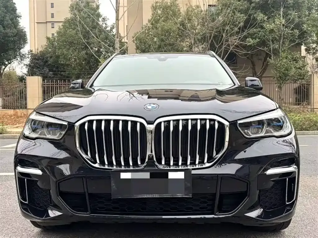 BMW X5 — фото 9