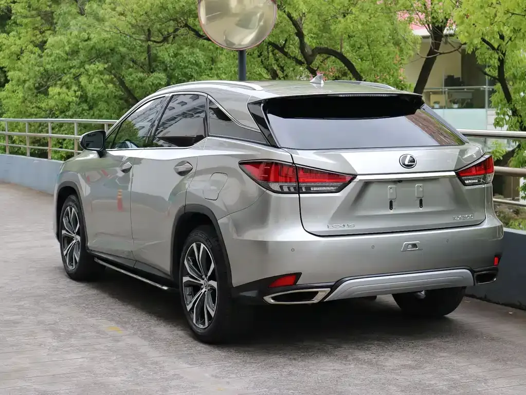 Lexus RX — фото 10