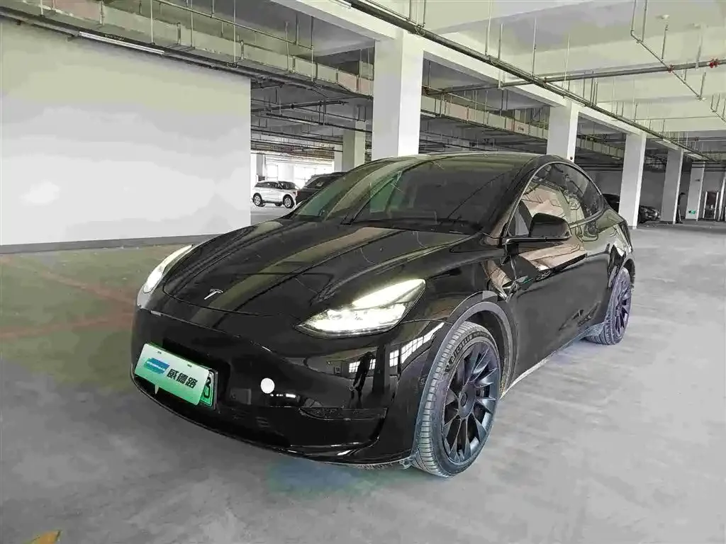 Tesla Model Y — фото 1