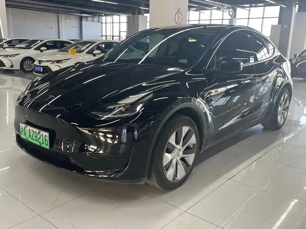 Tesla Model Y — фото 1