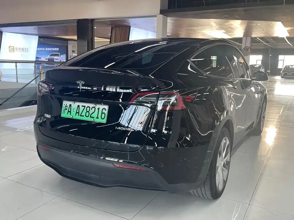 Tesla Model Y — фото 3