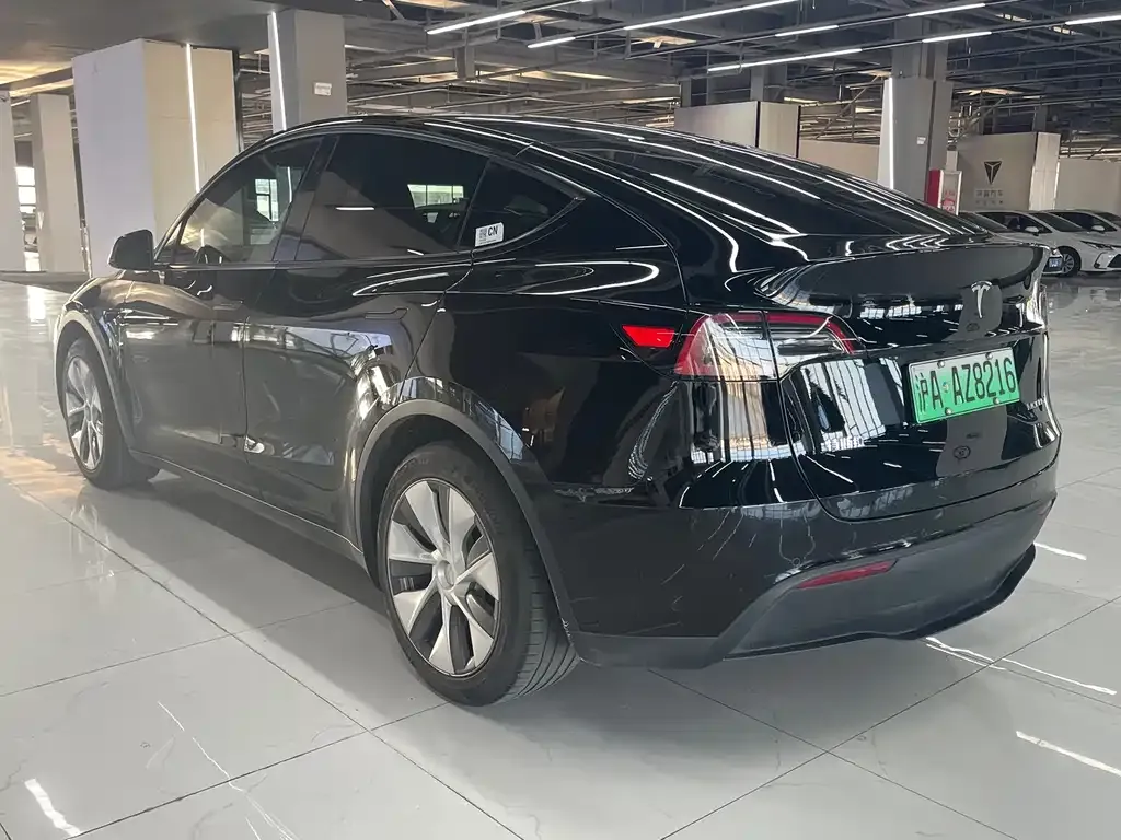 Tesla Model Y — фото 9