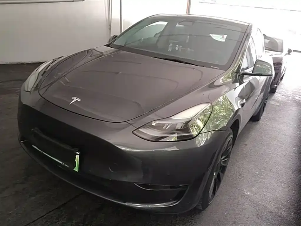 Tesla Model Y — фото 1
