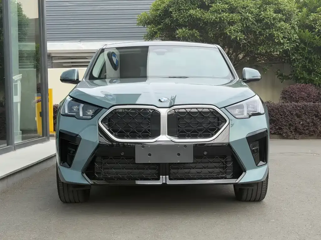 BMW X2 (Import) — фото 8