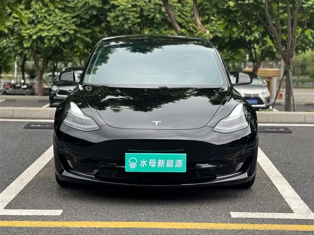 Tesla Model 3 2021 из CN, фото 9