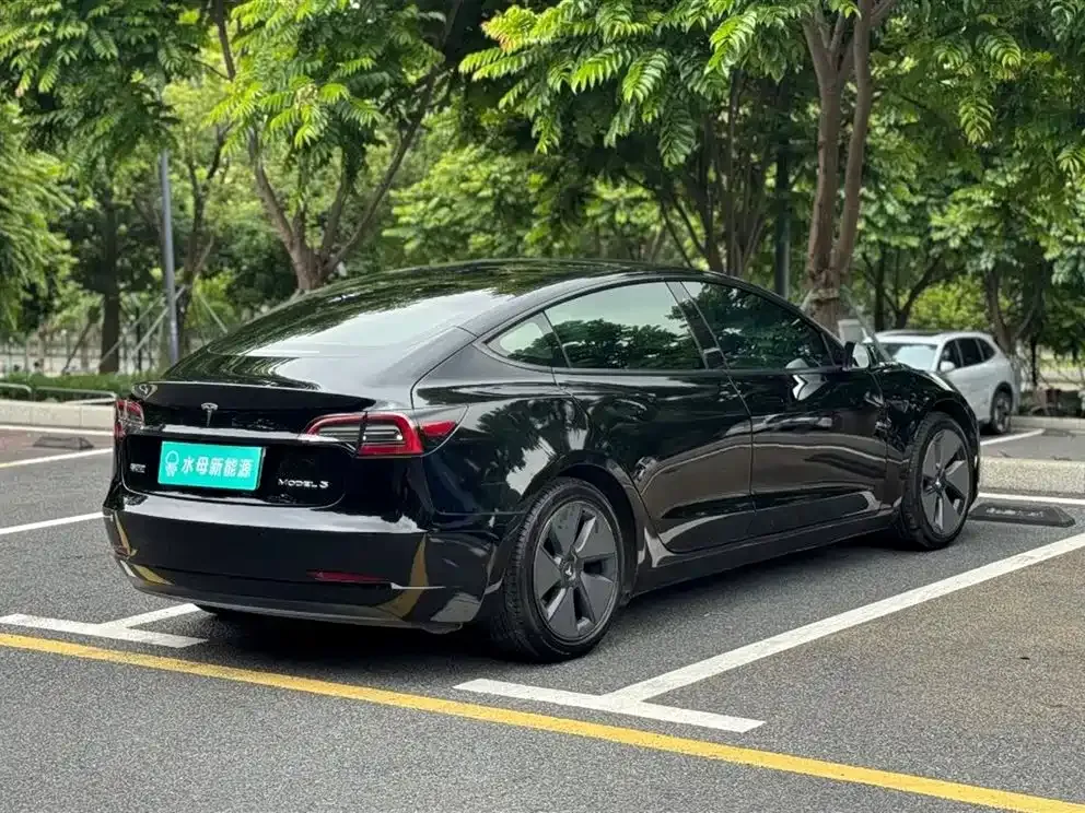 Tesla Model 3 2021 из CN, фото 6