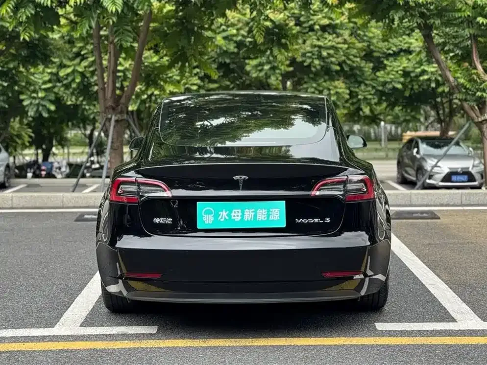 Tesla Model 3 2021 из CN, фото 4