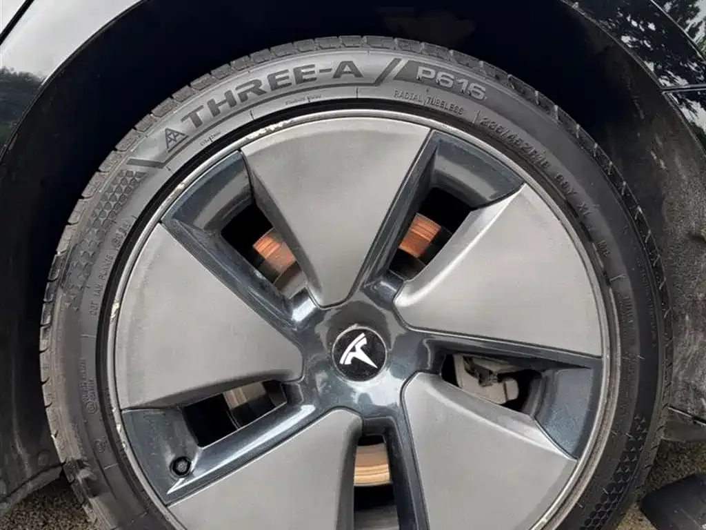 Tesla Model 3 2021 из CN, фото 7
