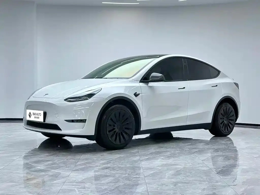 Tesla Model Y 2024 из CN, фото 1