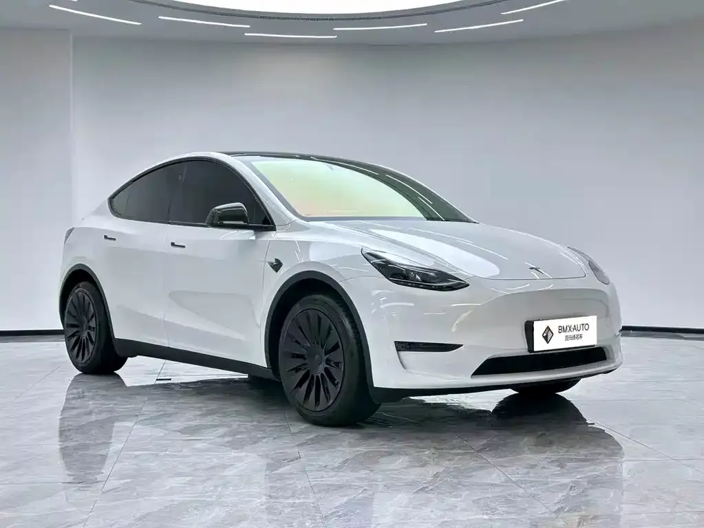 Tesla Model Y 2024 из CN, фото 2