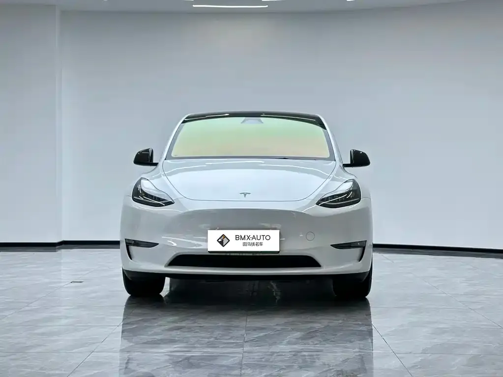 Tesla Model Y 2024 из CN, фото 6