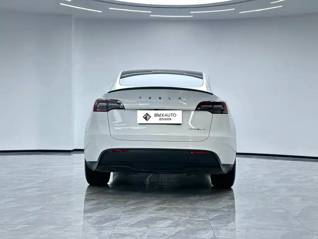 Tesla Model Y 2024 из CN, фото 10