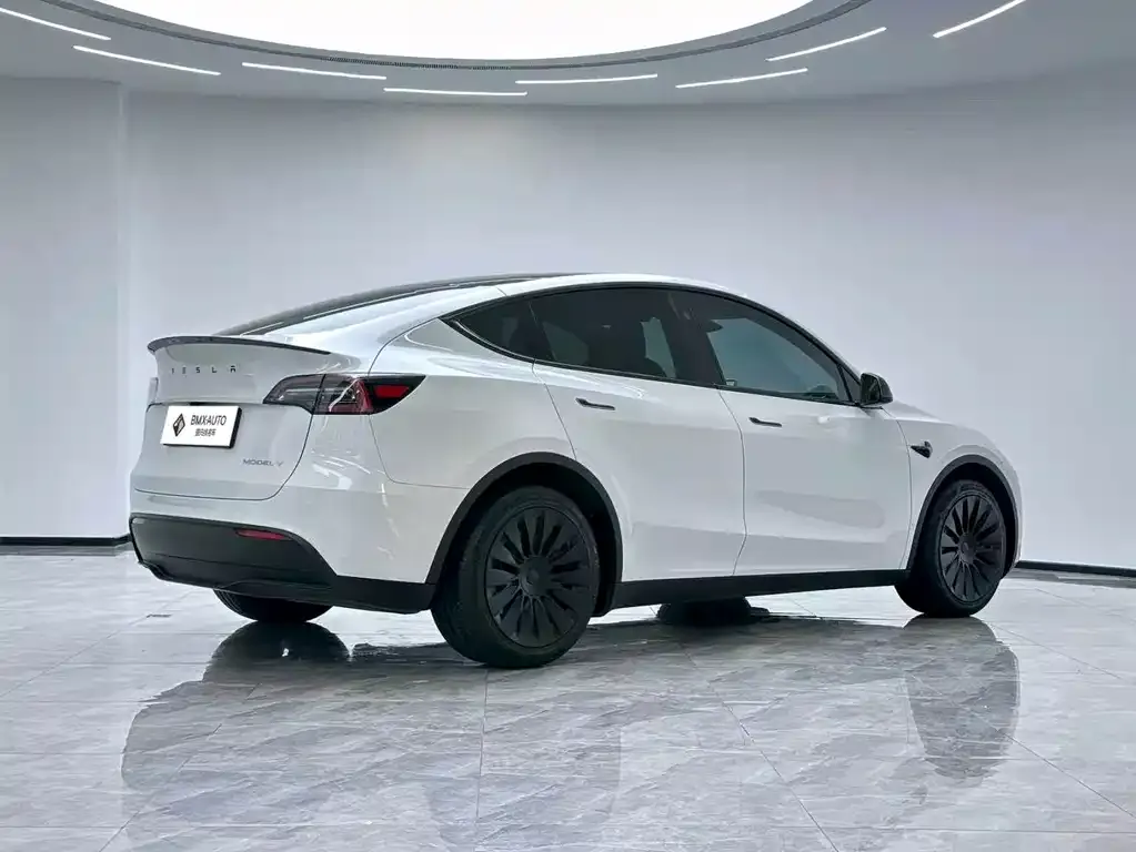 Tesla Model Y 2024 из CN, фото 4