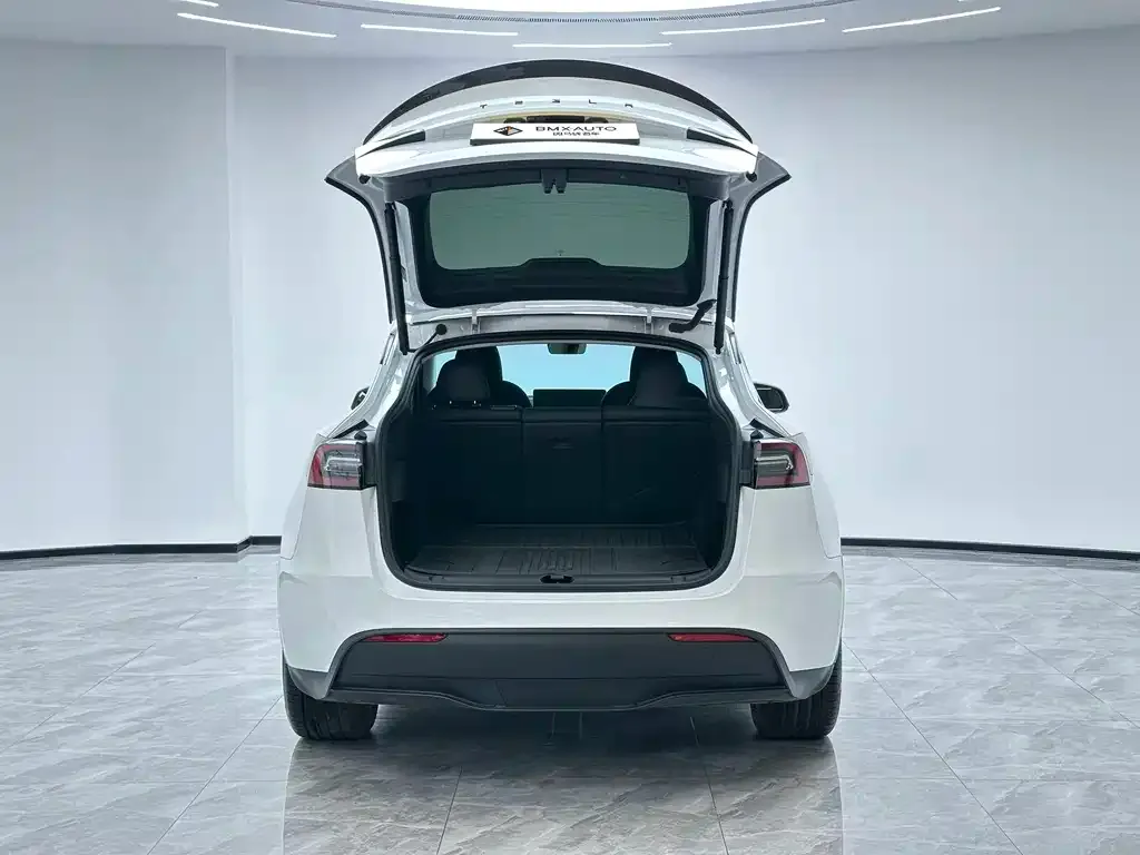 Tesla Model Y 2024 из CN, фото 7