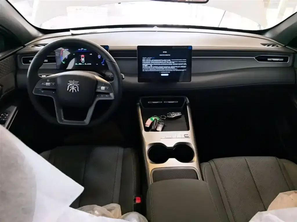 BYD Qin PLUS — фото 4