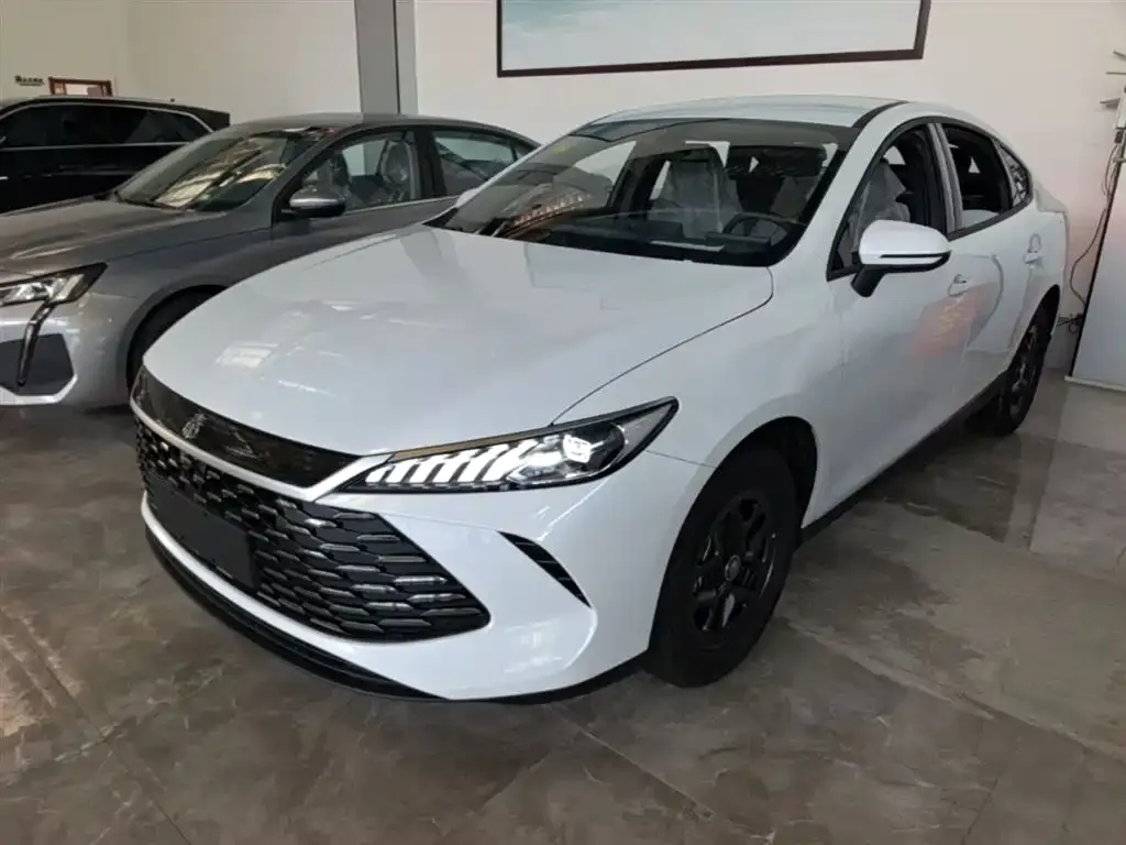 BYD Qin PLUS — фото 8