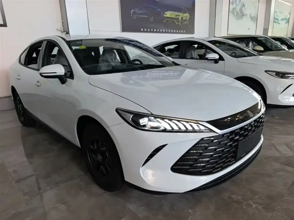 BYD Qin PLUS — фото 2