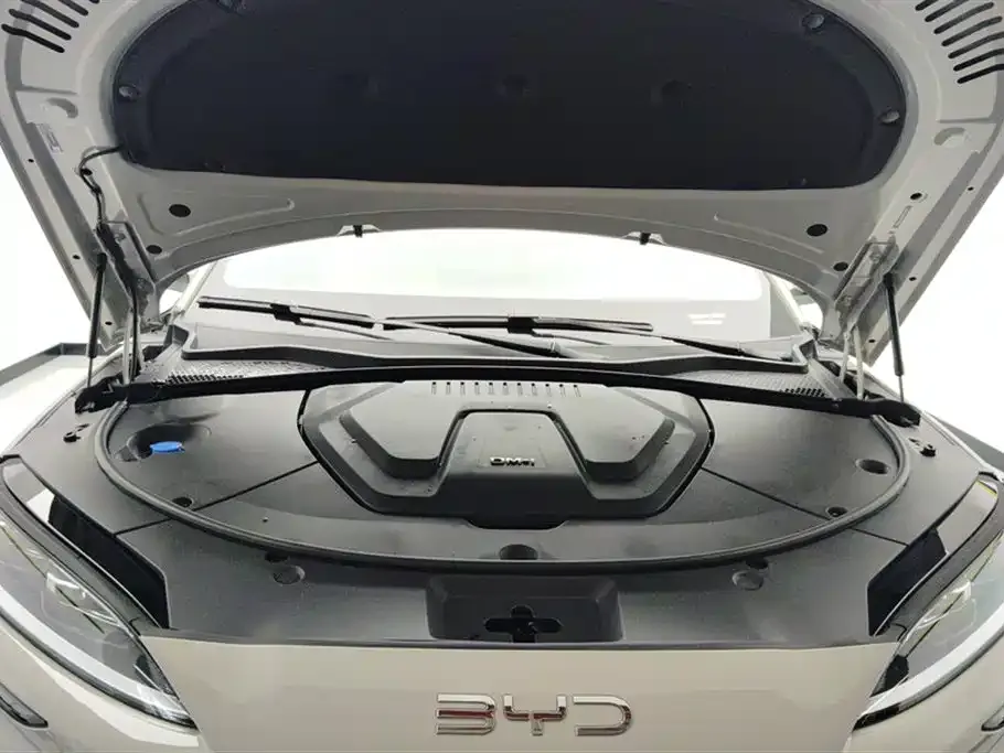 BYD PLUS New Energy 2025 из CN, фото 6
