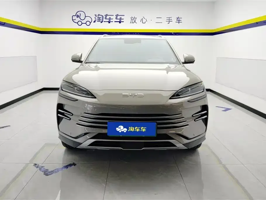 BYD PLUS New Energy 2025 из CN, фото 10