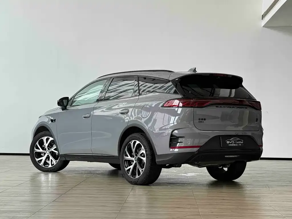 BYD Tang New Energy — фото 5